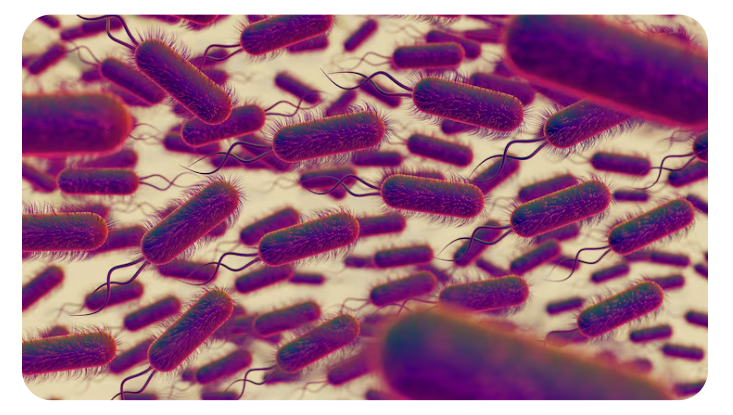 Clostridioides difficile-ассоциированная болезнь: новая информация для специалистов